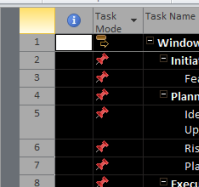 Microsoft Project - Task Pane - Select all
