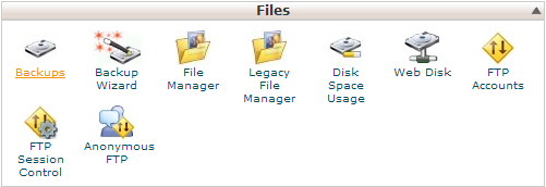 cPanel - Files - Backups icon
