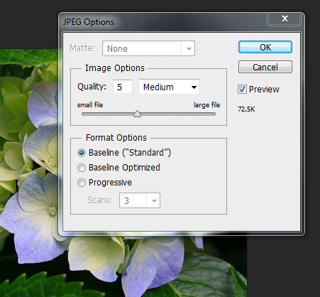 Photoshop - Save As - JPEG Options