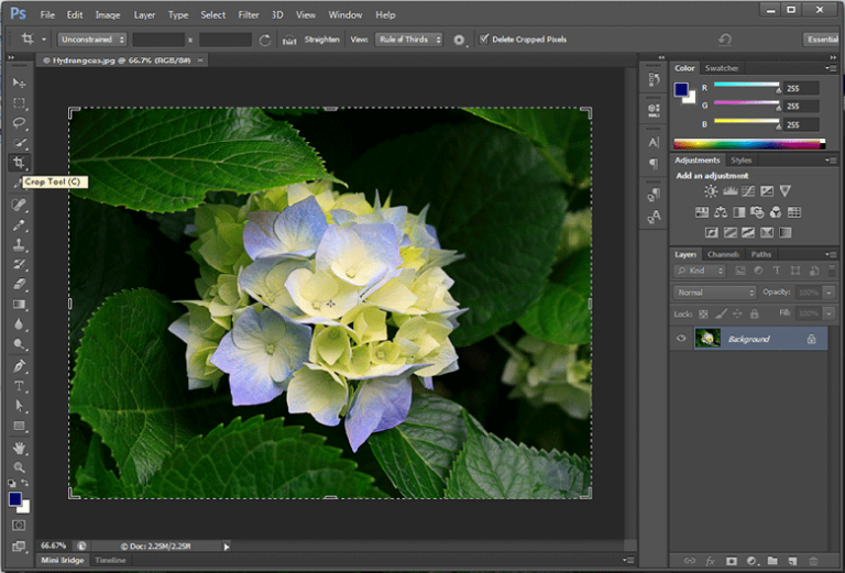 crop image photoshop download